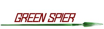 GreenSpier LLC : Home Elevator Experts
